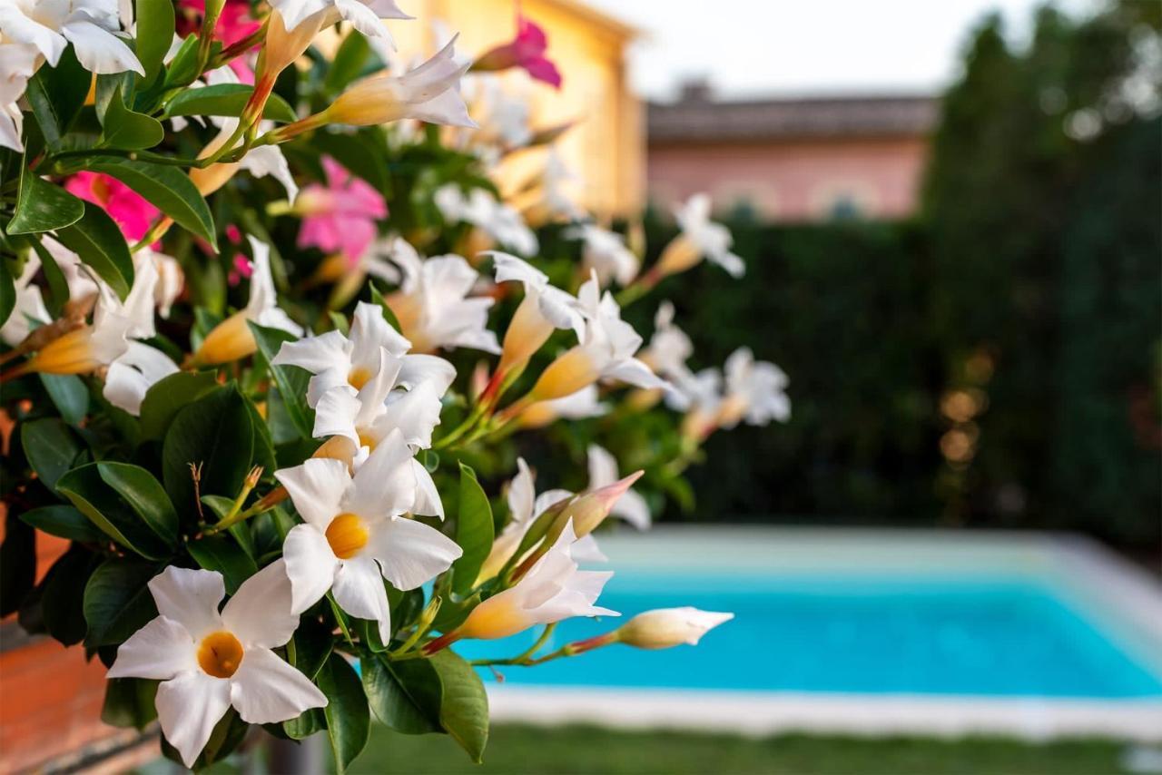טרווי Albergo Ristorante Il Terziere מראה חיצוני תמונה